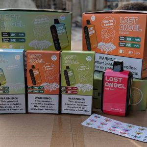 chicha Électronique 25000 puffs – grande autonomie et expérience premium