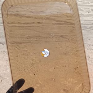 plateau de table en plastique – léger et pratique